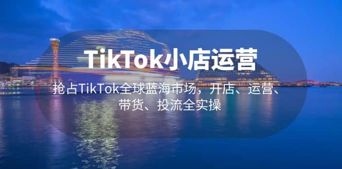 TikTok小店运营 抢占TikTok全球蓝海市场，开店、运营、带货、投流全实操-BT网赚资源网