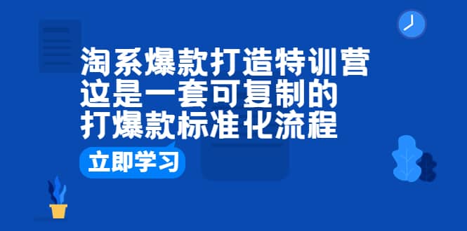 淘系爆款打造特训营：这是一套可复制的打爆款标准化流程-BT网赚资源网