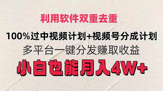 利用软件双重去重，100%过中视频+视频号分成计划小白也可以月入4W+-BT网赚资源网