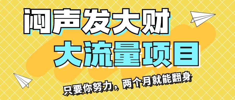 闷声发大财，大流量项目，月收益过3万，只要你努力，两个月就能翻身-BT网赚资源网