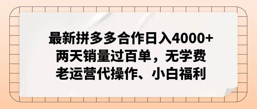 最新拼多多合作日入4000+两天销量过百单，无学费、老运营代操作、小白福利-BT网赚资源网