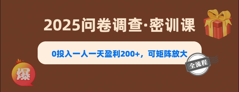 2025《问卷调查》0投入一人一天盈利200+，可矩阵放大-BT网赚资源网