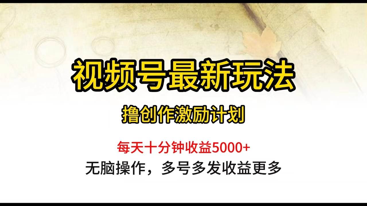 视频号最新玩法，每日一小时月入5000+-BT网赚资源网