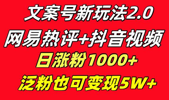 文案号新玩法 网易热评+抖音文案 一天涨粉1000+ 多种变现模式 泛粉也可变现-BT网赚资源网