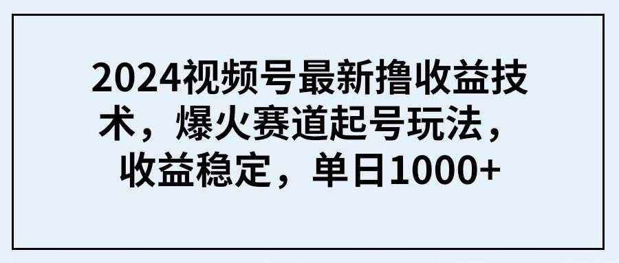 2024视频号最新撸收益技术，爆火赛道起号玩法，收益稳定，单日1000+-BT网赚资源网