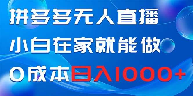 拼多多无人直播，小白在家就能做，0成本日入1000+-BT网赚资源网