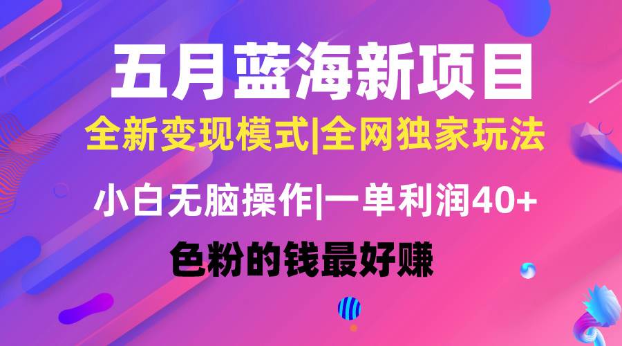 五月蓝海项目全新玩法，小白无脑操作，一天几分钟，矩阵操作，月入4万+-BT网赚资源网