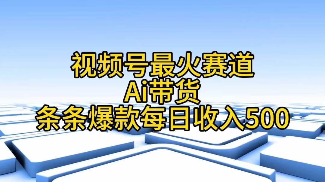 视频号最火赛道——Ai带货条条爆款每日收入500-BT网赚资源网