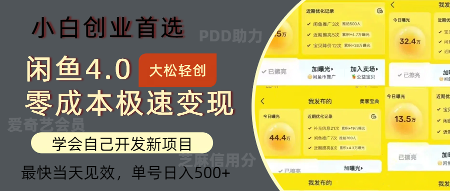 闲鱼0成本极速变现项目，多种变现方式，单号日入500+最新玩法-BT网赚资源网