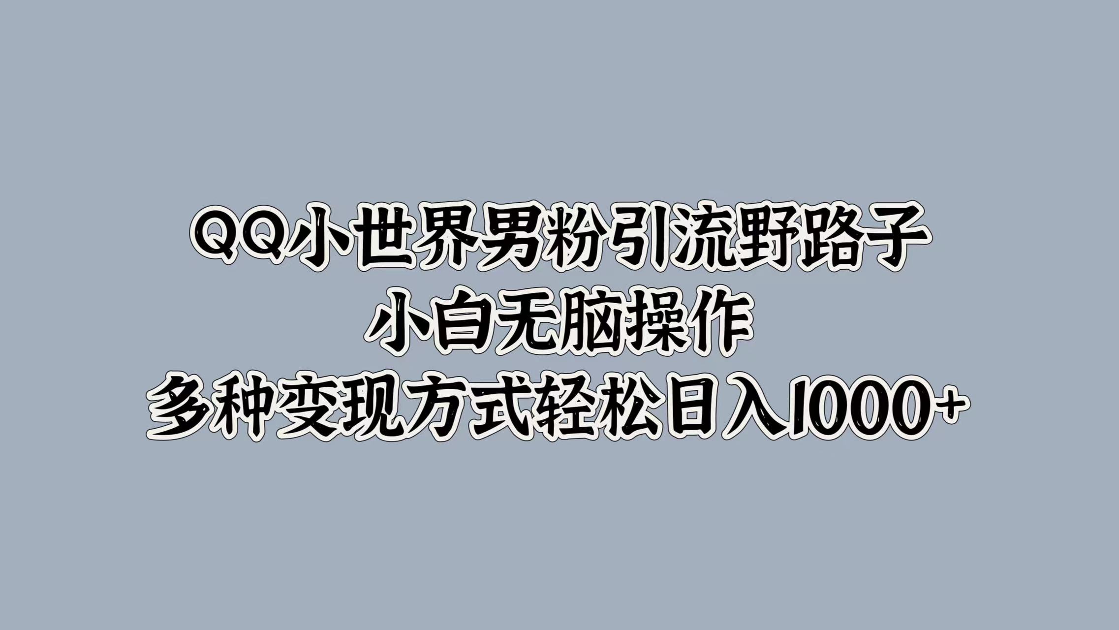 QQ小世界男粉引流野路子，小白无脑操作，多种变现方式轻松日入1000+-BT网赚资源网