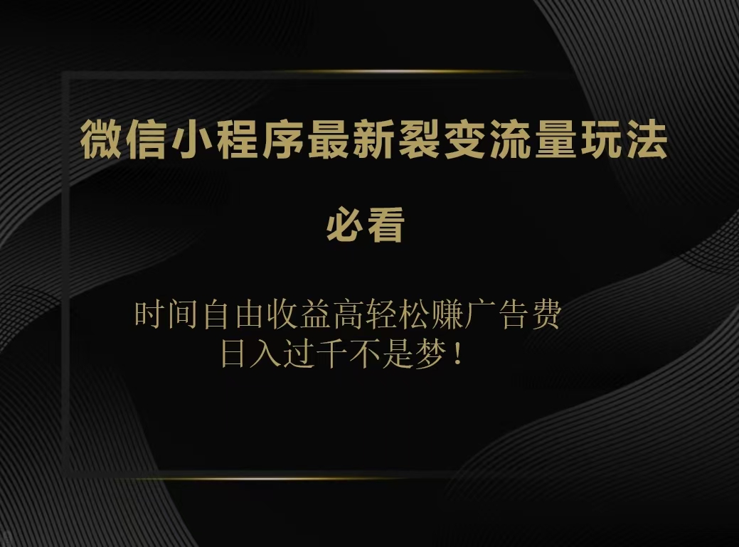 微信小程序最新裂变流量玩法，时间自由收益高轻松赚广告费，日入200-500+-BT网赚资源网