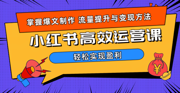 价值980小红书运营操作指南-BT网赚资源网