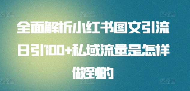 暴力引流 小红书图文引流日引100私域全面拆解【打粉人必看】-BT网赚资源网