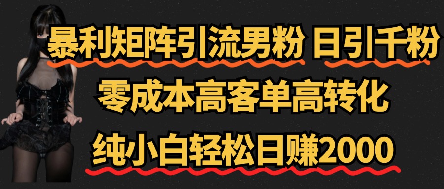 暴利矩阵引流男粉（日引千粉），零成本高客单高转化，纯小白轻松日赚2000+-BT网赚资源网