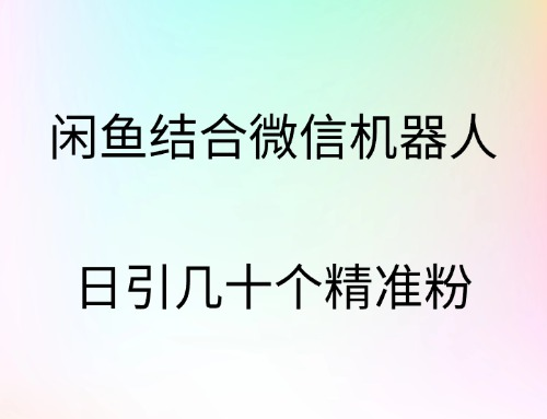 闲鱼结合微信机器人，日引几十个精准粉-BT网赚资源网