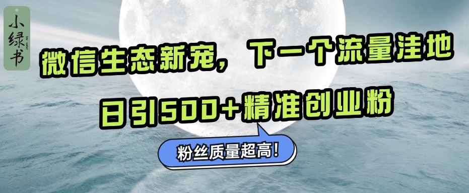 微信生态新宠小绿书：下一个流量洼地，粉丝质量超高，日引500+精准创业粉，-BT网赚资源网