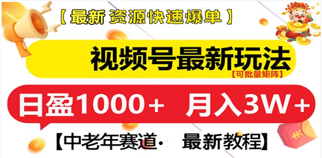 视频号独家玩法，老年养生赛道，无脑搬运爆款视频，日入1000+-BT网赚资源网