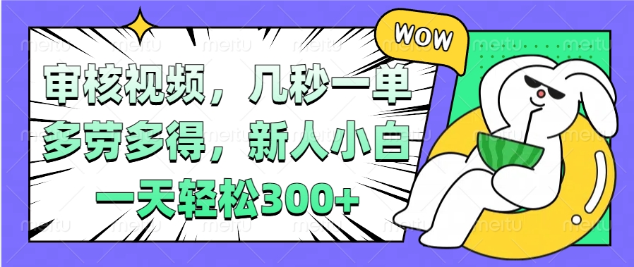 视频审核项目，几秒一单，多劳多得，新人小白一天轻松300+-BT网赚资源网