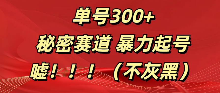 单号300+  秘密赛道 暴力起号  （不灰黑）-BT网赚资源网